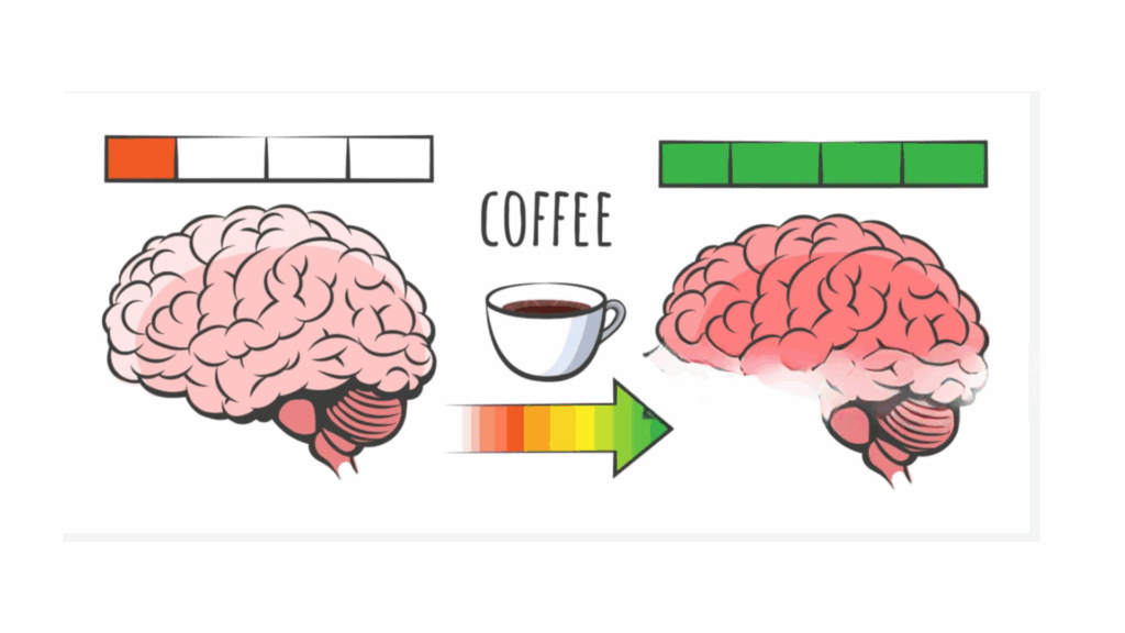 coffee effect on brain
