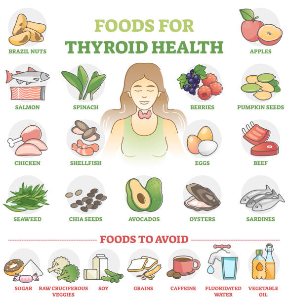Foods for thyroid health as good products choice for wellness outline set. Labeled educational healthcare collection with nourishment example for inner organs from medical aspect vector illustration.